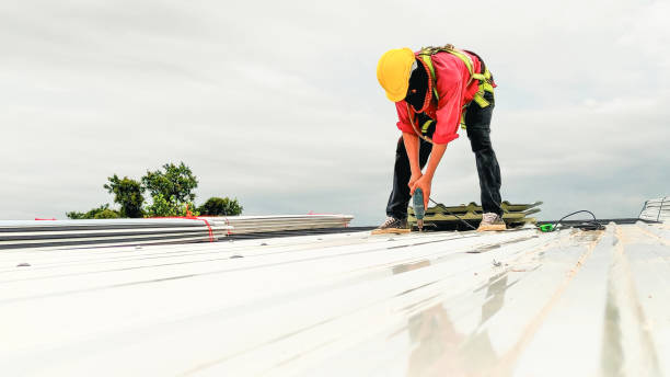 Best Asphalt Shingles Roofing  in Ennis, TX