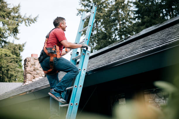 Best Roof Moss and Algae Removal  in Ennis, TX